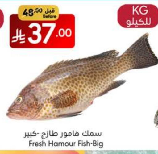 available at مانويل ماركت in مملكة العربية السعودية, السعودية, سعودية - جدة