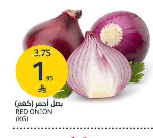 Onion available at AlJazera Shopping Center in KSA, Saudi Arabia, Saudi - Riyadh