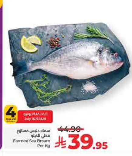 available at لولو هايبرماركت in مملكة العربية السعودية, السعودية, سعودية - حائل‎