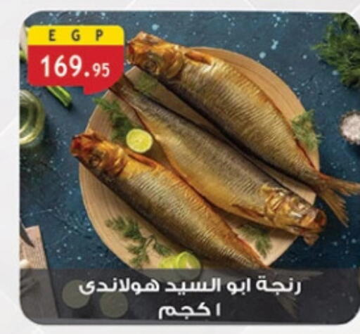 available at الرايه  ماركت in Egypt - القاهرة