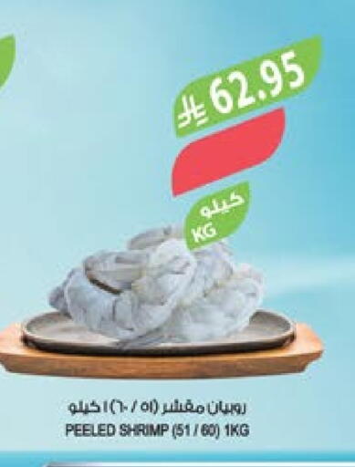 available at المزرعة in مملكة العربية السعودية, السعودية, سعودية - أبها