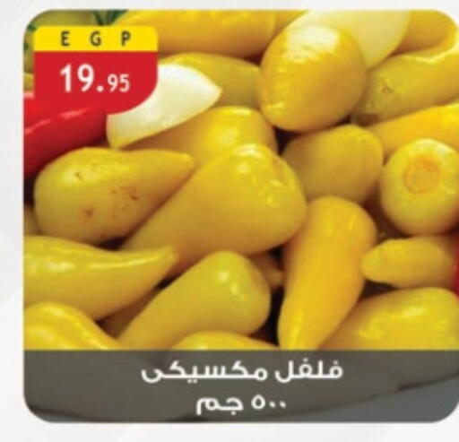available at الرايه  ماركت in Egypt - القاهرة