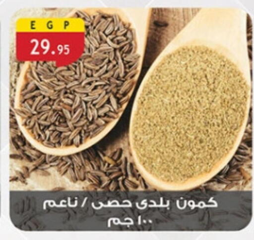 available at الرايه  ماركت in Egypt - القاهرة