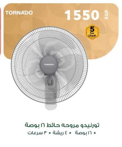 TORNADO Fan available at Panda  in Egypt - Cairo