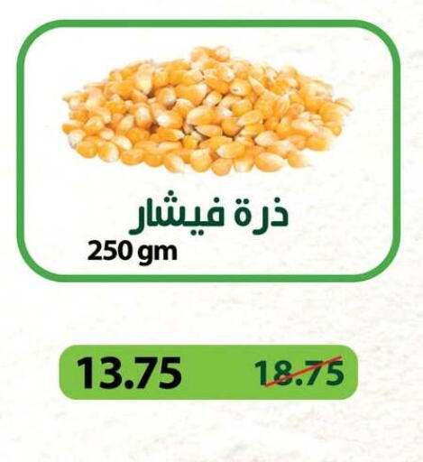 available at بنده in Egypt - القاهرة