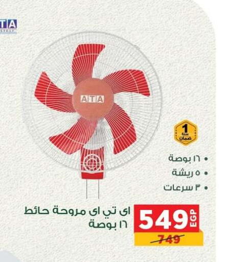 Fan available at Panda  in Egypt - Cairo