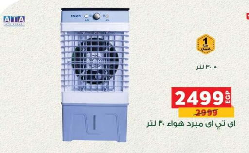 available at Panda  in Egypt - Cairo