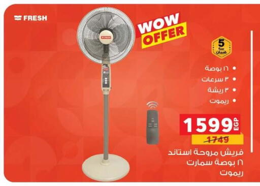 FRESH Fan available at Panda  in Egypt - Cairo