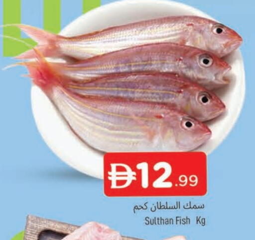 available at المدينة in الإمارات العربية المتحدة , الامارات - الشارقة / عجمان