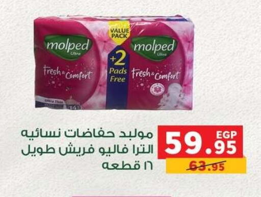available at بنده in Egypt - القاهرة