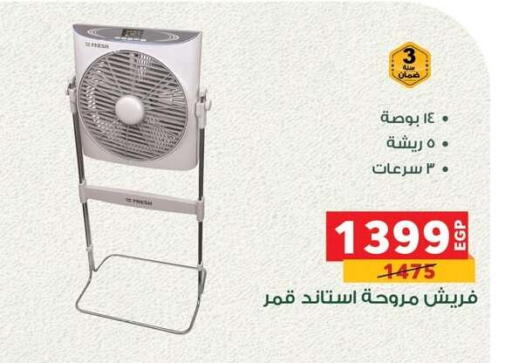 FRESH Fan available at Panda  in Egypt - Cairo