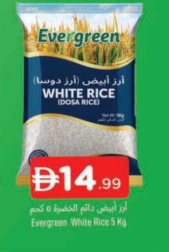 أرز أبيض available at المدينة in الإمارات العربية المتحدة , الامارات - الشارقة / عجمان