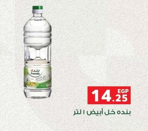 خل available at بنده in Egypt - القاهرة