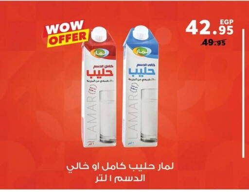 available at بنده in Egypt - القاهرة