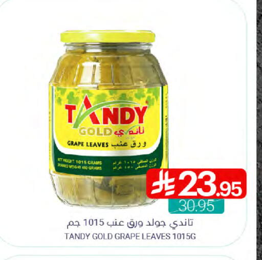 TANDY available at Muntazah Markets in KSA, Saudi Arabia, Saudi - Qatif