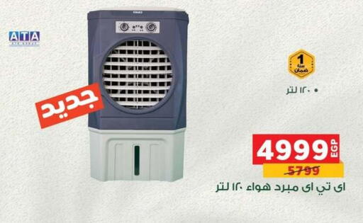 available at Panda  in Egypt - Cairo