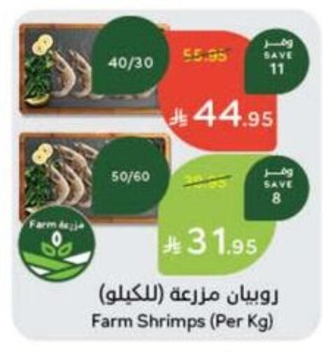 available at هايبر بنده in مملكة العربية السعودية, السعودية, سعودية - الطائف