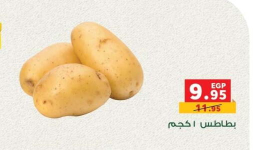 بطاطا available at بنده in Egypt - القاهرة