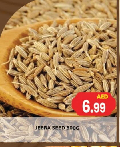 available at جلف هايبرماركت ذ.م.م in الإمارات العربية المتحدة , الامارات - رَأْس ٱلْخَيْمَة