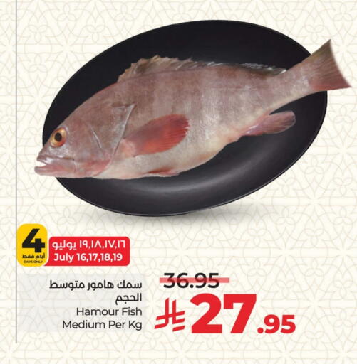 available at لولو هايبرماركت in مملكة العربية السعودية, السعودية, سعودية - جدة