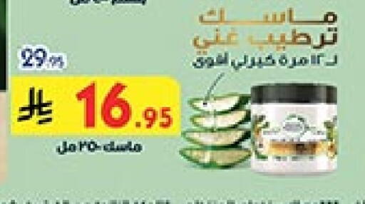 available at بن داود in مملكة العربية السعودية, السعودية, سعودية - مكة المكرمة