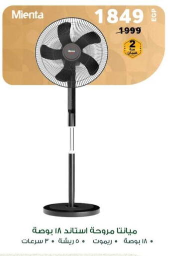 Fan available at Panda  in Egypt - Cairo