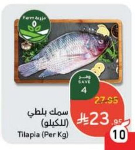 available at هايبر بنده in مملكة العربية السعودية, السعودية, سعودية - حائل‎