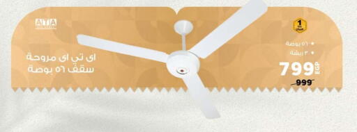 Fan available at Panda  in Egypt - Cairo