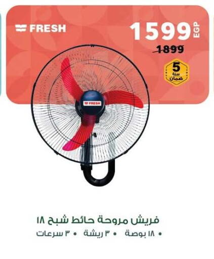FRESH Fan available at Panda  in Egypt - Cairo