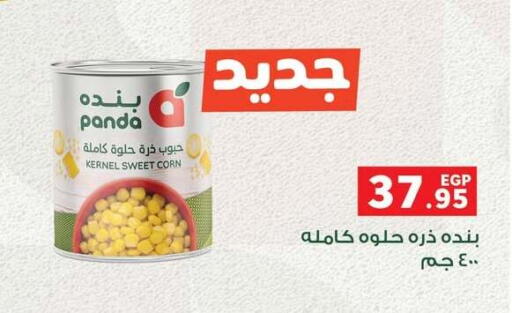 available at بنده in Egypt - القاهرة