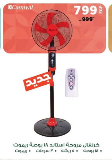 Fan available at Panda  in Egypt - Cairo
