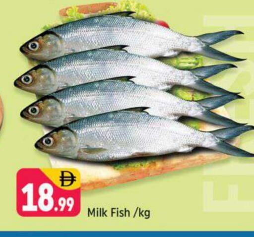 available at Shaklan  in UAE - Dubai