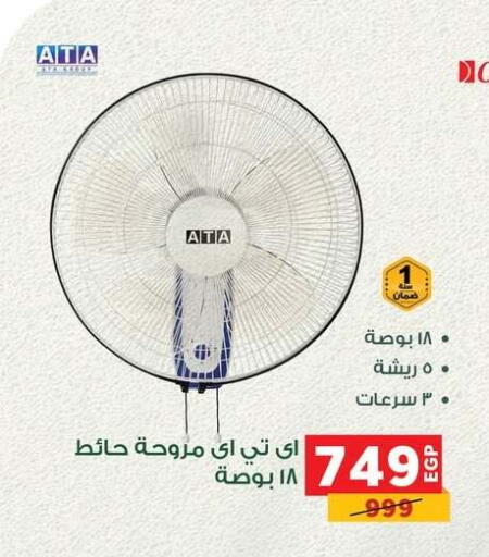 Fan available at Panda  in Egypt - Cairo