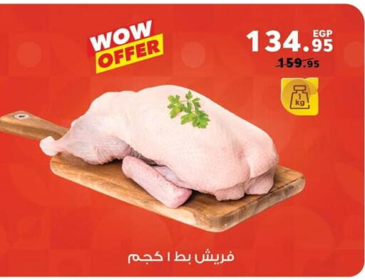 available at بنده in Egypt - القاهرة