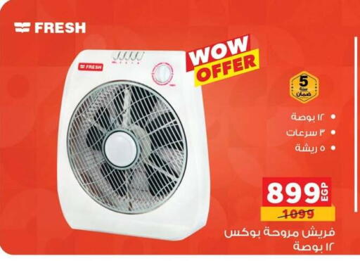 FRESH Fan available at Panda  in Egypt - Cairo
