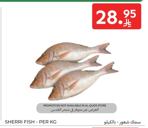 available at كارفور in مملكة العربية السعودية, السعودية, سعودية - جدة