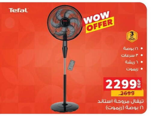 TEFAL Fan available at Panda  in Egypt - Cairo