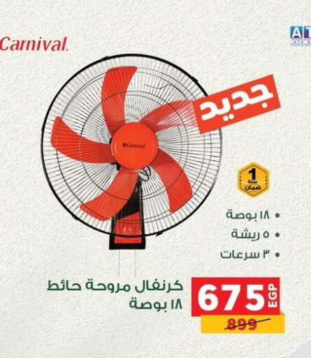 Fan available at Panda  in Egypt - Cairo