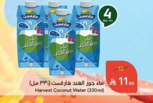Coconut available at هايبر بنده in مملكة العربية السعودية, السعودية, سعودية - الطائف