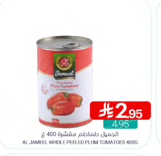 Plum Tomato available at Muntazah Markets in KSA, Saudi Arabia, Saudi - Dammam