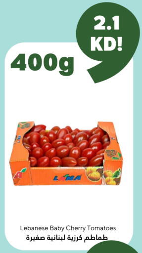 Cherry Tomato from Lebanon available at Taw9eel.com in Kuwait - Kuwait City