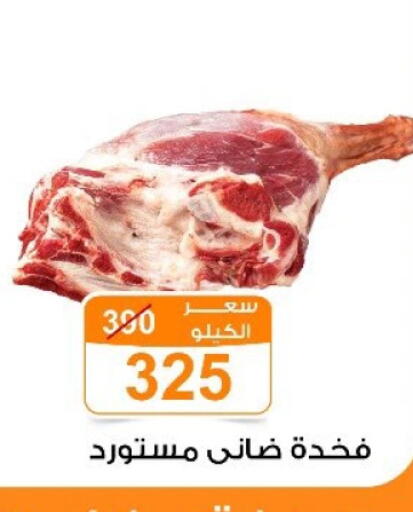 available at Gomla Market in Egypt - Cairo