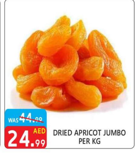 Apricot available at United Hypermarket in UAE - Dubai
