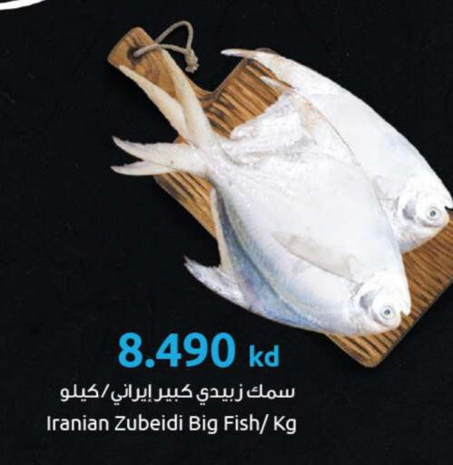 available at مركز سلطان in الكويت - محافظة الأحمدي