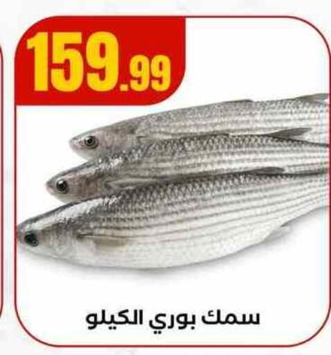 available at MartVille in Egypt - Cairo