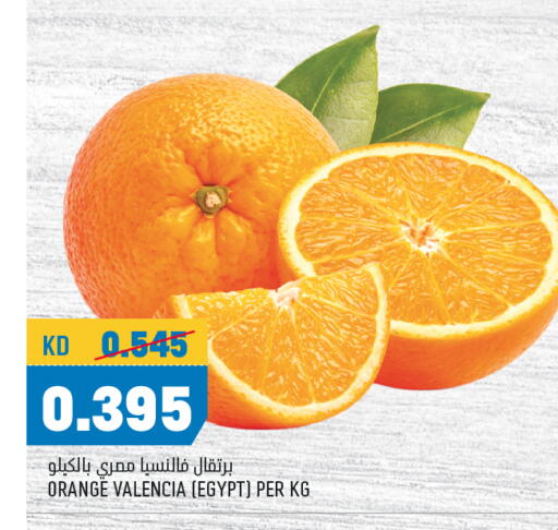 Orange from Egypt available at Oncost in Kuwait - Ahmadi Governorate