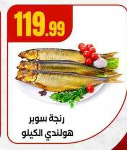available at مارت فيل in Egypt - القاهرة