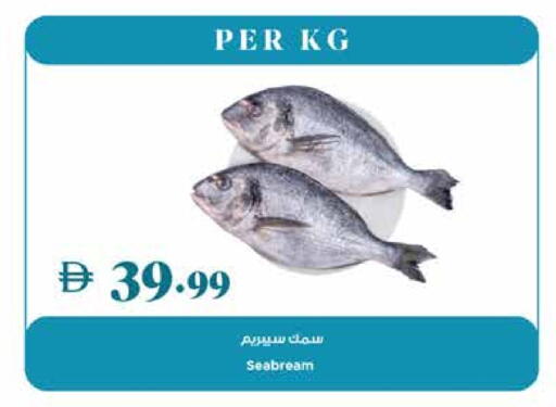 available at Trolleys Supermarket in UAE - Dubai