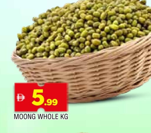 available at المدينة in الإمارات العربية المتحدة , الامارات - الشارقة / عجمان