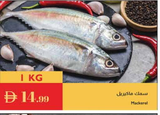 available at Istanbul Supermarket in UAE - Dubai